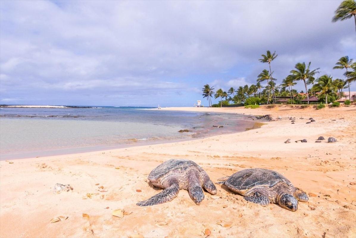 Kiahuna Plantation 96, Poipu Beach, Club Membership, Part Ocean View, Kids Toys Koloa Exterior foto
